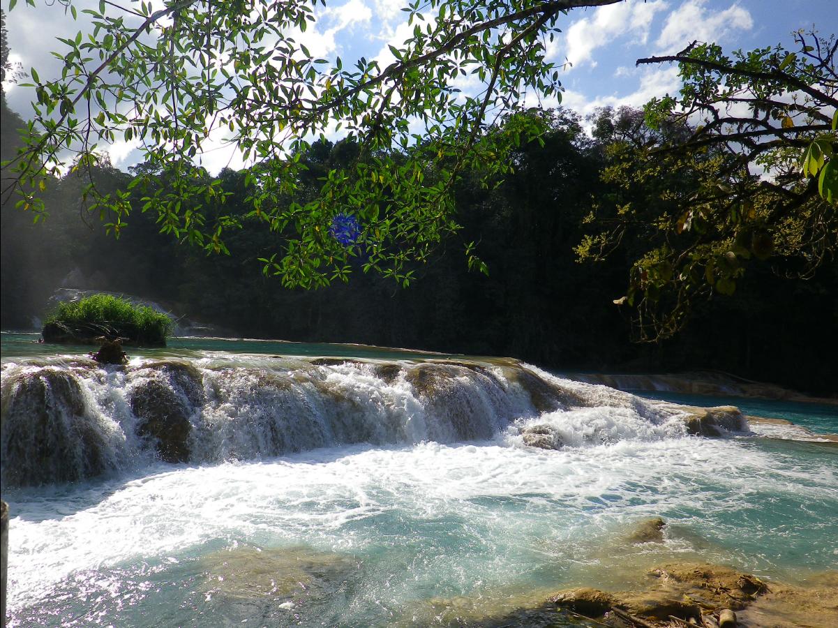 Agua Azul Waterfall42